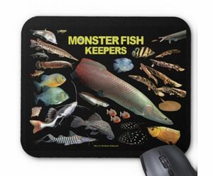  large tropical fish. mouse pad ( photo pad )
