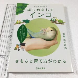 即決 未読未使用品 全国送料無料♪ はじめまして インコ きもちと育て方がわかる JAN- 9784262131429の画像1