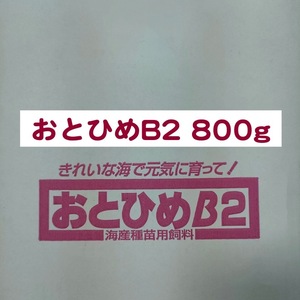 日清丸紅飼料 おとひめB2 800g メダカ 熱帯魚 金魚 グッピー ※送料無料※