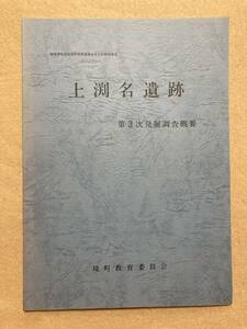 上渕名遺跡 第3次発掘調査概要 群馬県佐波郡境町教育委員会文化財調査報告☆d3