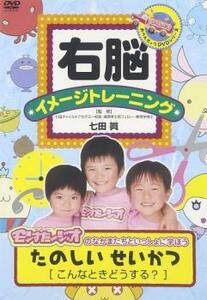 右脳 イメージトレーニング モンすたージオのなかまといっしょに学ぼう たのしいせいかつ こんなときどうする? 中古 DVD ケース無