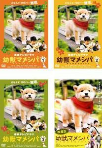 連続テレビドラマ版 幼獣マメシバ 全4枚 + 映画版 レンタル落ち 全巻セット 中古 DVD ケース無