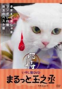 いやし猫DVD 猫侍 まるっと玉之丞 レンタル落ち 中古 DVD ケース無