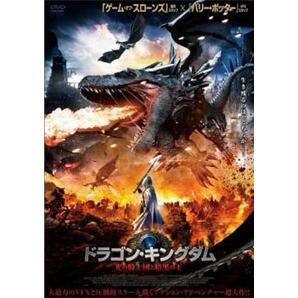 ドラゴン・キングダム 光の騎士団と暗黒の王 レンタル落ち 中古 DVD ケース無の画像1