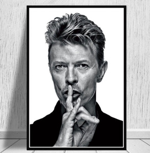 新品$ David Bowie デヴィッド・ボウイ キャンパスアートポスター 50×70cm インテリア 海外製 枠なし A