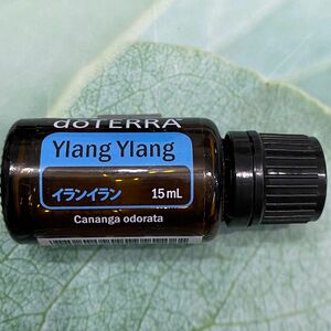 ドテラ doTERRA イランイラン 15ml エッセンシャルオイル