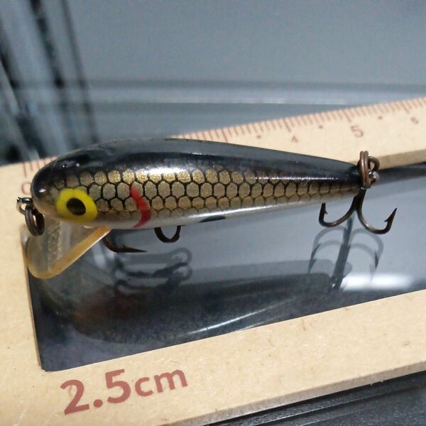 シーバス　根魚　アジング　メバル　トラウト　ファッション　スポーツ　レジャー