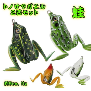 ■トノサマガエル 2匹セット■5cm　スーパーフロッグ / カエル / 蛙　バス/ライギョ/ナマズ