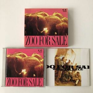 B19967　CD（中古）FOR SALE (ベスト)　ZOO