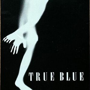 ☆週末最終値下げ LUNA SEA ルナシー TRUE BLUE FALL OUT 8cmCD 邦楽 シングル 当時物☆