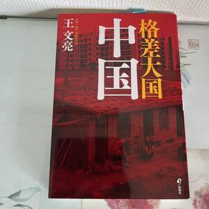 格差大国 中国 単行本 2009/6/25 王 文亮 (著)