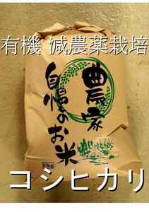 有機減農薬栽培　新米コシヒカリ福井県産の令和５年産　玄米10kg　農家直送 管理番号2
