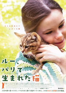 映画チラシ　「ルー、パリで生まれた猫」　キャプシーヌ・サンソン＝ファブレス　◆ フランス・スイス　【2023年】