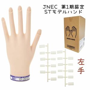 JNEC認定 滝川 STモデルハンド 左手 ネイルチップ付き 第1期JNEC認定モデルハンド 01-22-01 ネイリスト技能検定試験 タキガワネイル