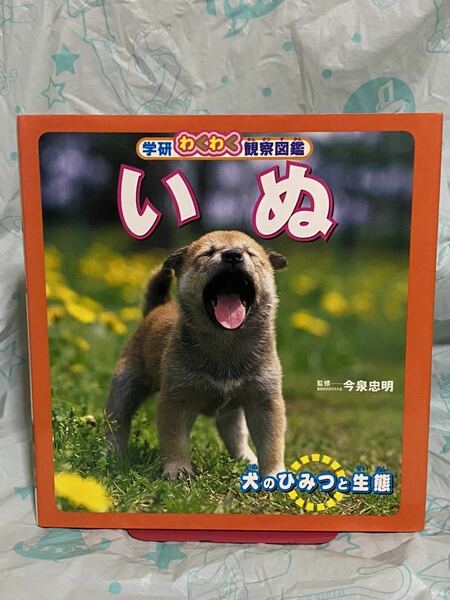 ☆初版 学研わくわく観察図鑑 いぬ 犬のひみつと生態 今泉忠明 学研 いぬ 犬 イヌ