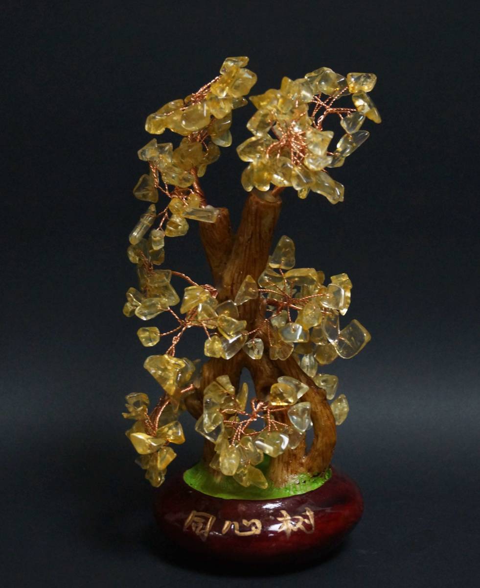 2023年最新】ヤフオク! -招財樹の中古品・新品・未使用品一覧