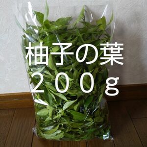 柚子の葉 約200g 新鮮 農薬不使用