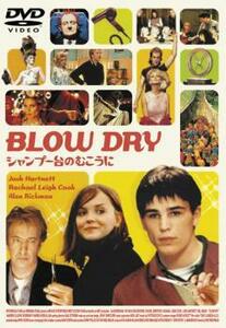 BLOWDRY シャンプー台のむこうに レンタル落ち 中古 DVD