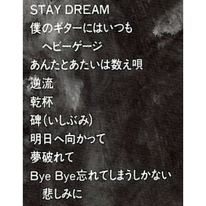 長渕剛（ながぶちつよし)「NEVER CHANGE」セルフカバーCD＜乾杯、STAY DREAM、僕のギターにはいつもヘビーゲージ、他収録＞の画像2