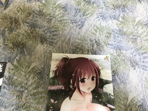 DA　特典　お風呂ポスター 　松実玄　コミックス 咲-Saki- 21巻」 とらのあな購入特典