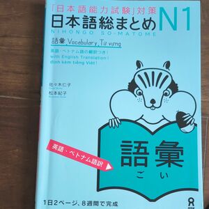 日本語総まとめＮ１　語彙　英語・ベトナム （「日本語能力試験」対策） 佐々木　仁子　著　松本　紀子　著