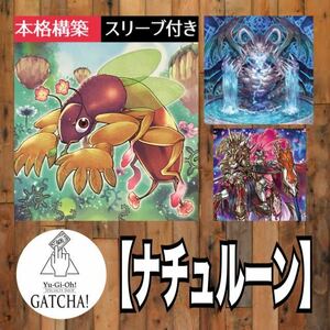 即日発送！大会用【ナチュルーン】デッキ　神碑　遊戯王　まとめ売り