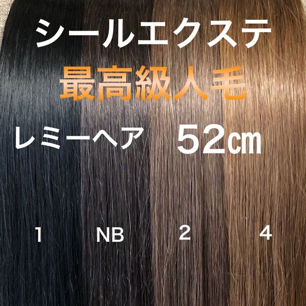 シールエクステ 52 最高級人毛レミーヘア ロングストレート