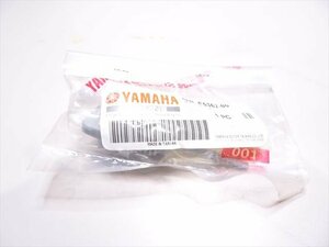 εA20230831-38 ヤマハ GTR125 純正 オイルレベル 未使用品！