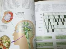 コンサイス人体図鑑 人体の構造、機能、障害の図解ガイド◇洋書 人間生物学　人体解剖学　人体生理学　320㌻_画像6