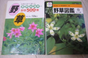 * wild grasses illustrated reference book ⑧ is ... volume & wild grasses 500 kind secondhand book 