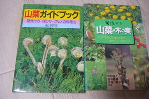 * edible wild plants guidebook &.. see attaching . edible wild plants * tree. real secondhand book 