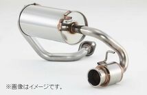 自動車関連業者様限定 フジツボ マフラー POWER Getter HONDA ホンダ ビート PP1 E07A 【BG加工可能】(140-50311)_画像6