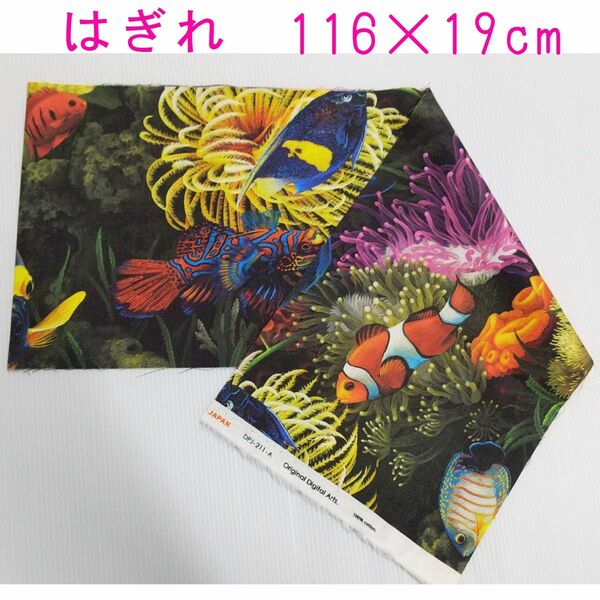 熱帯魚 はぎれ 生地 約116cm×19cm
