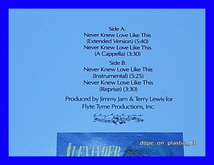 Alexander O'Neal Feat. Cherrelle / Never Knew Love Like This/US Original/5点以上で送料無料、10点以上で10%割引!!!/12'_画像2