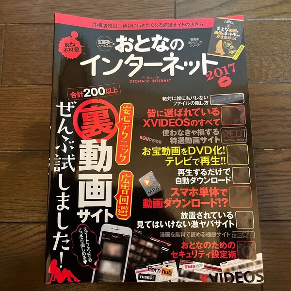 おとなのインターネット 2017