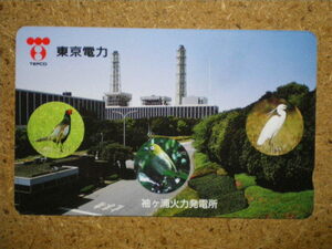 doub* bird .kijimeji Logo sagi Tokyo electric power Sodegaura heating power departure electro- place 105 times telephone card 