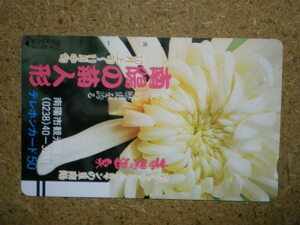 hana・110-11581　南陽の菊人形　赤湯温泉　テレカ