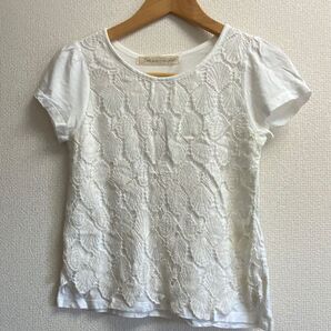 dot and stripes ドットアンドストライプス ambidex カットソー Tシャツ フレンチスリーブ