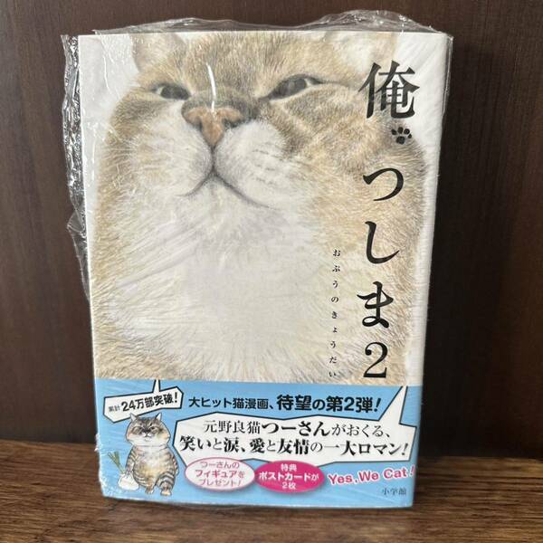 新品　　俺つしま２　　猫好きの方に　ポストカード2枚つき　俺、つしま ねこ　ネコ