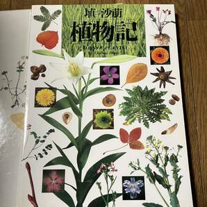 中古本☆埴 沙萌 『植物記』 福音館☆の画像4