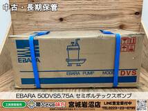 【未使用・長期保管】EBARA 50DVS5.75A DVS1351 セミボルテックスポンプ【14-0916-TS-6】_画像1