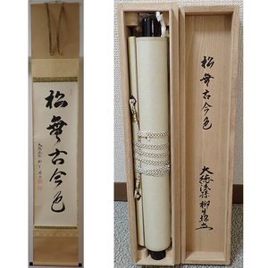 01873 前大徳寺 柳生紹尚 作 「松無古今色」掛軸（共箱）茶道具（茶掛/紫野）