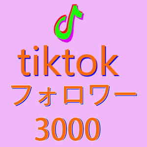 【おまけ3000人Tiktok ティックトックフォロワー 保証付き】SNS YouTube Twitter 自動増加ツール Instagram フォロワー チャンネル登録者 