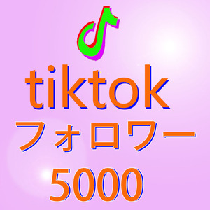 【おまけ5000人Tiktok ティックトックフォロワー 保証付き】SNS YouTube Twitter 自動増加ツール Instagram フォロワー チャンネル登録者 