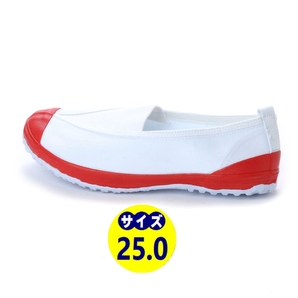 (B品)訳あり 体育館シューズ『18999-RED-250』大人用 教育シューズ 上履き スクールシューズ