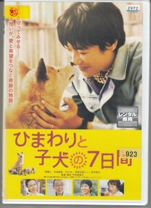 DVD レンタル版 　ひまわりと子犬の7日間 　堺雅人