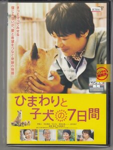 DVD レンタル版 　ひまわりと子犬の8日間 　堺雅人