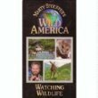 Wild America: Watching Wildlife [VHS](中古品)　(shin