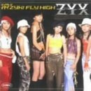 シングルV 「行くZYX! FLY HIGH」 [DVD](中古品)　(shin