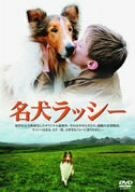 名犬 ラッシー [DVD](中古品)　(shin